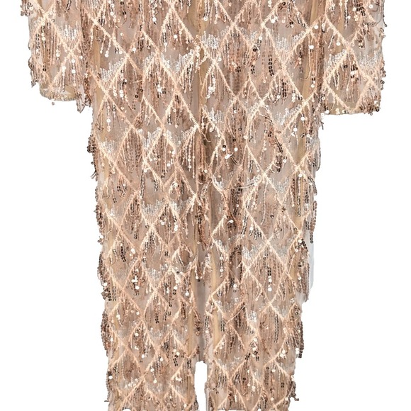 PRETTY LITTLE THING Sheer Jumpsuit SIZE 8 Rose Gold Embroidery Trashy Geek Glam - Picture 6 of 16